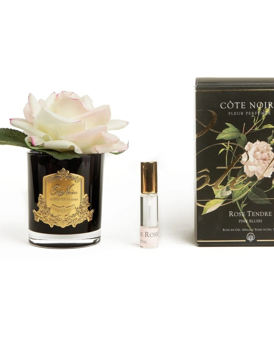 Роза-диффузор FRENCH ROSE pink blush , светло-розовый, черная ваза, 1 спрей 10мл