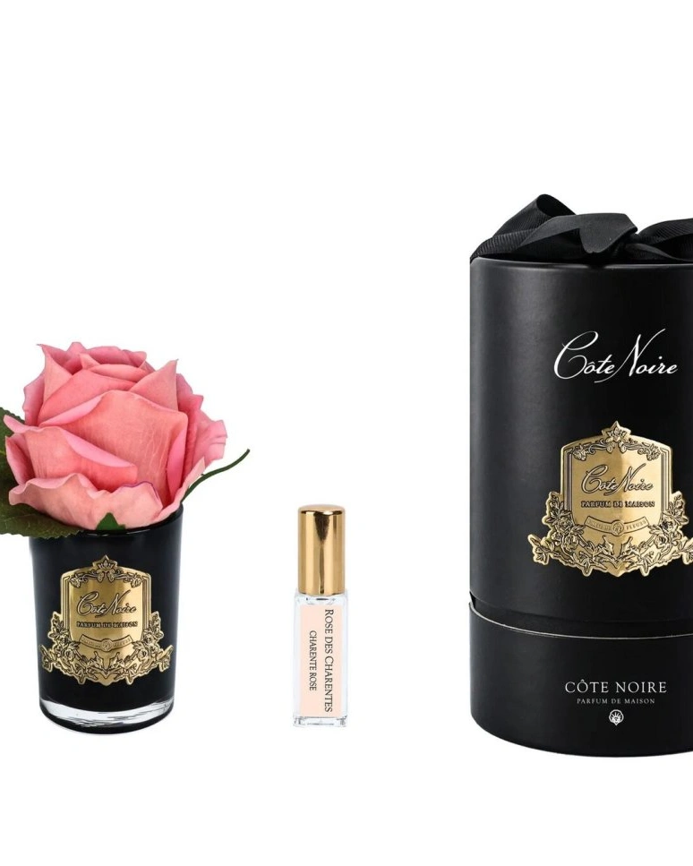 Бутон розы диффузор ROSE BUD white peach коралловый, черная ваза, 1 спрей 5мл ВхШхД 13,5