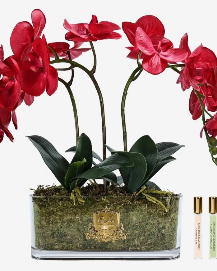OVAL Orchid redБукет красные орхидеи, 2 спрея по 10 мл
