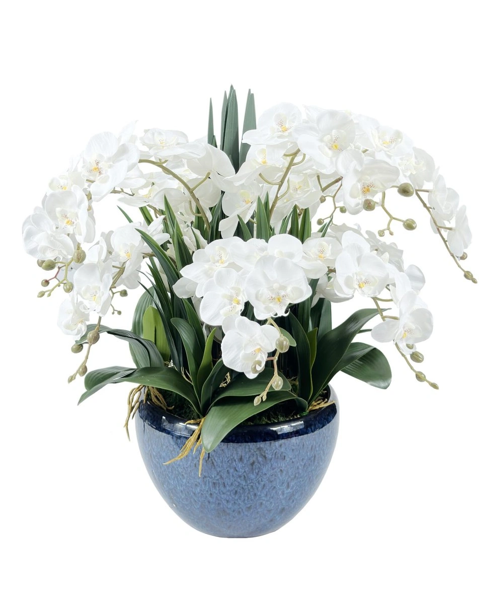 LUXURY GIANT ORCHID WHITEБольшой букет орхидей, белый