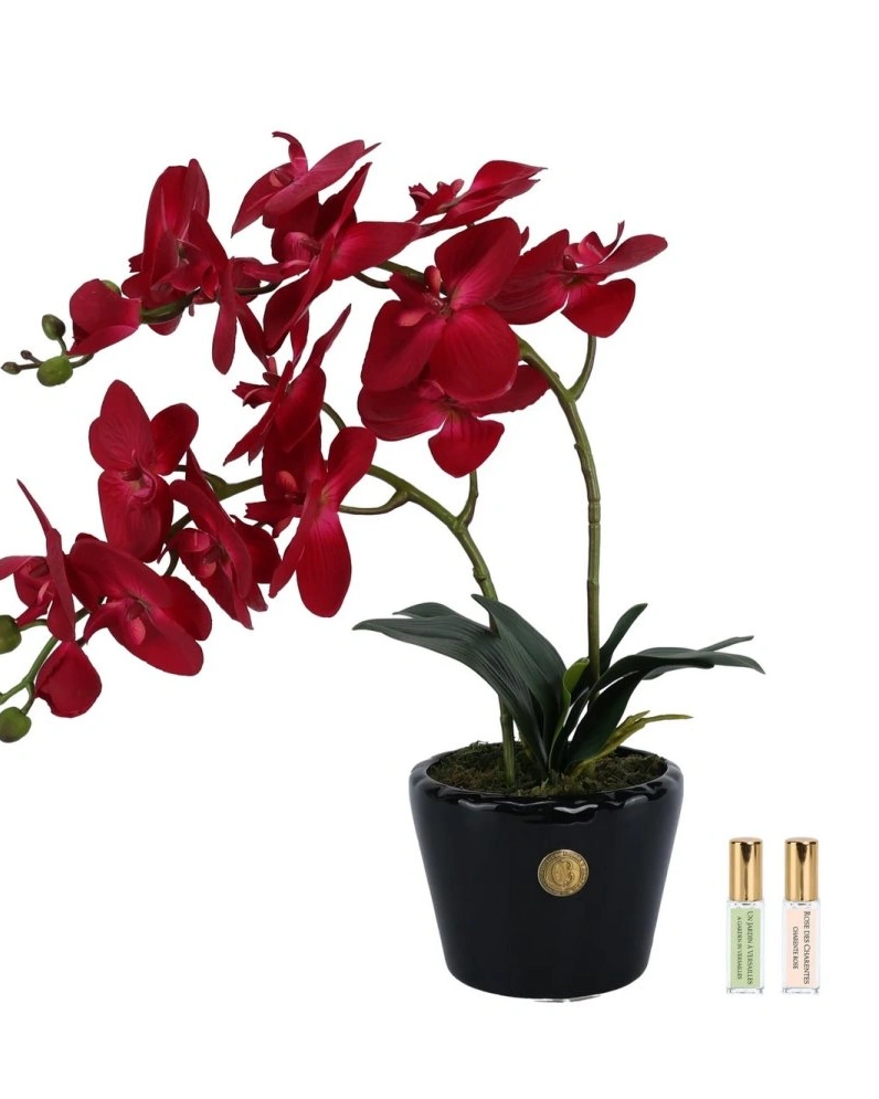 Букет Orchid red красные орхидеи, 2 спрея по 5 мл