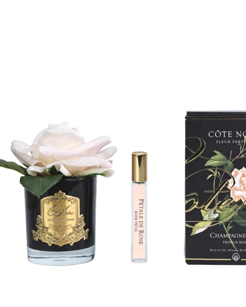 Роза-диффузор FRENCH ROSE champagne pink черная ваза, 1 спрей 10 мл
