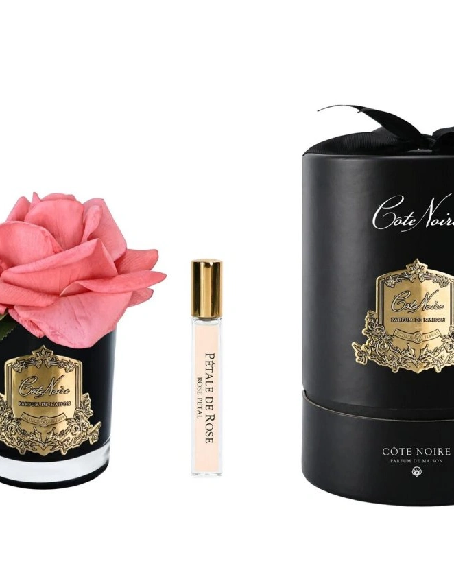 Бутон розы диффузор ROSE BUD black peach коралловый, черная ваза, 1 спрей 5мл ВхШхД 13,5