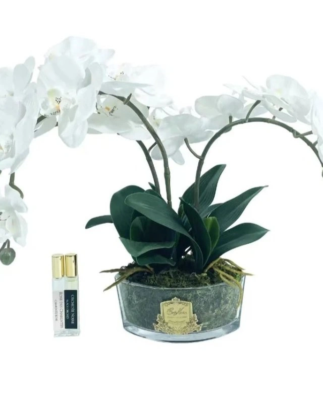 OVAL Orchid - whiteБукет белые орхидеи, 2 спрея по 10 мл