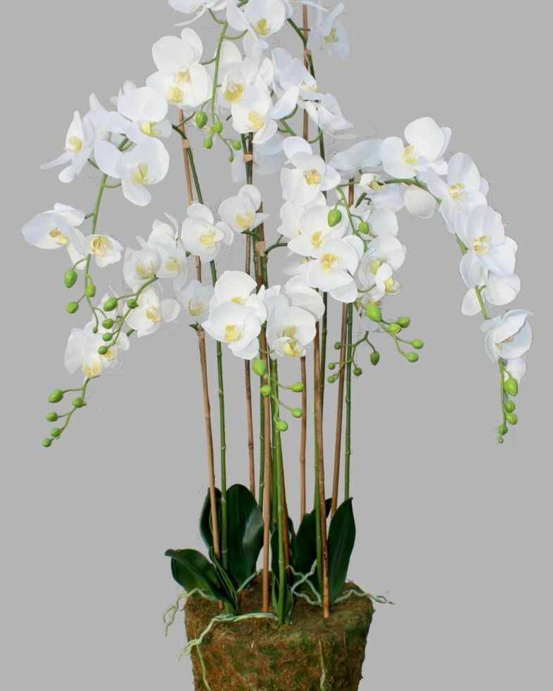 ORCHID 9 Орхидея 9 веток выс 150 см