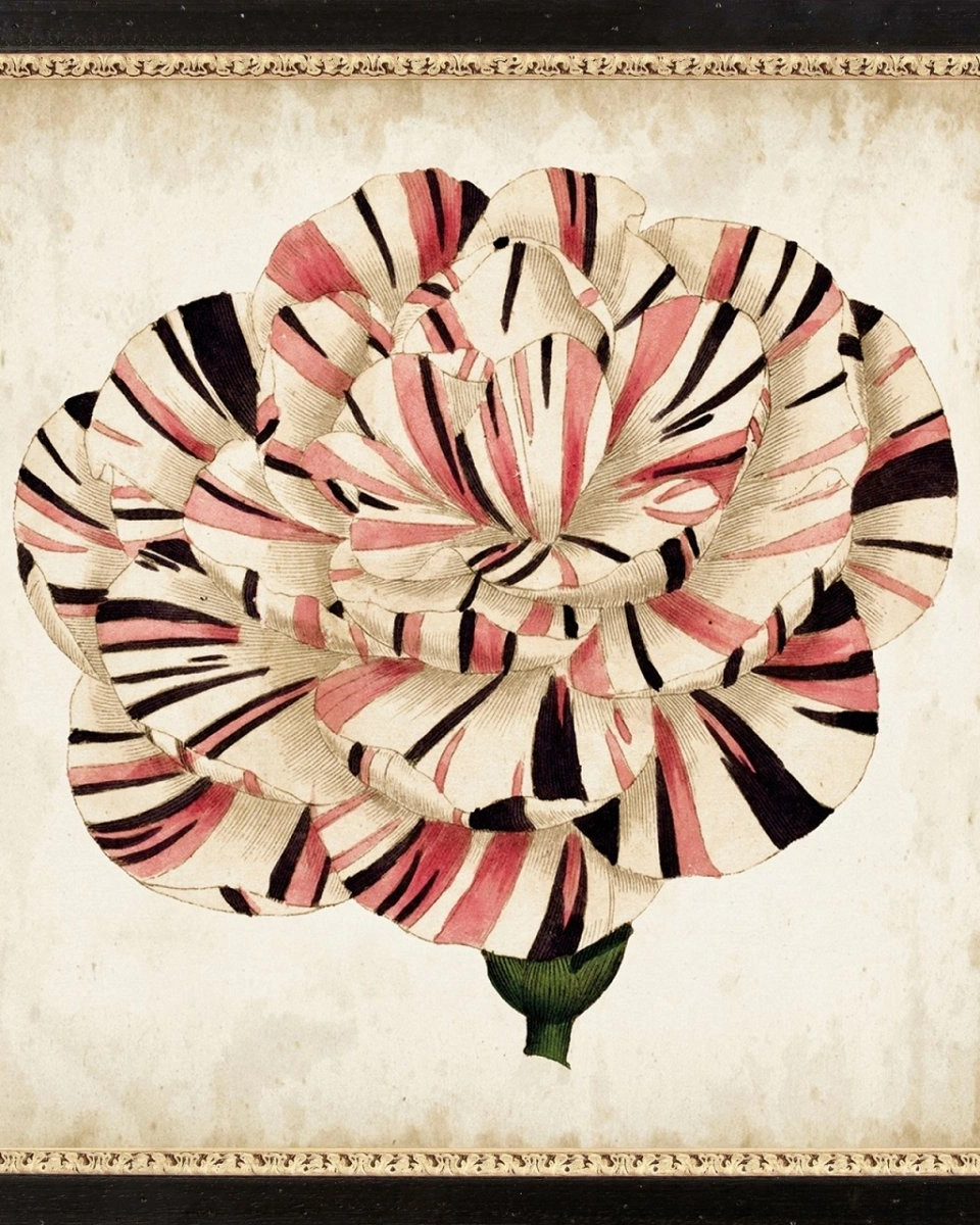 POP FLORALПостер 58х58