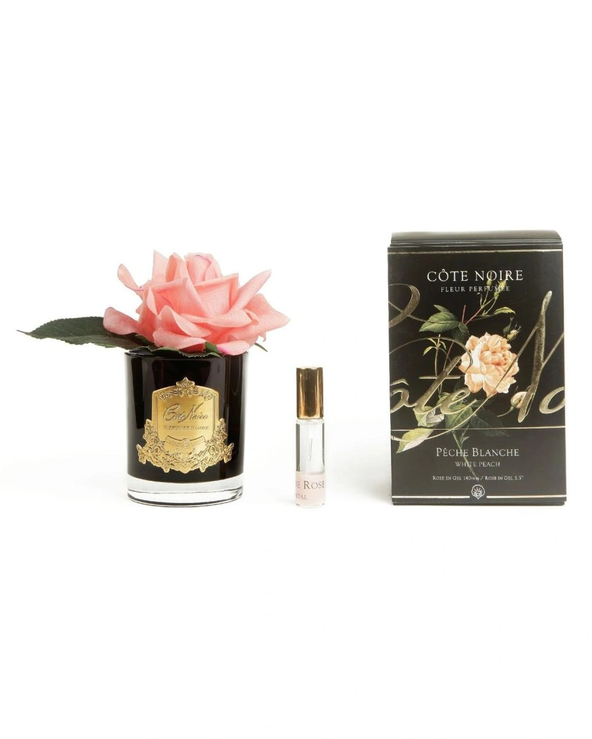 Роза-диффузор FRENCH ROSE white peach , коралловый, черная ваза, 1 спрей 10мл