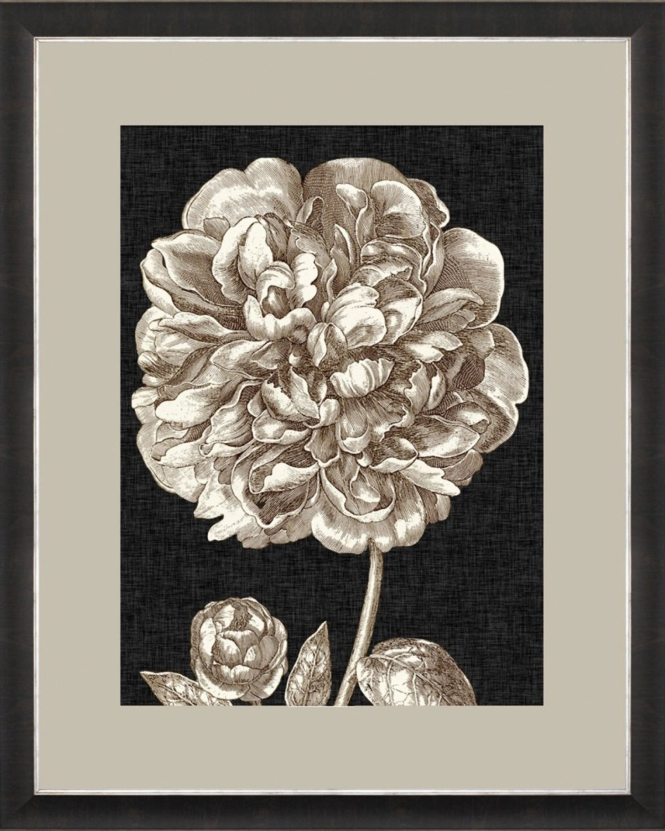 DRAMATIC PEONYПостер 65х85