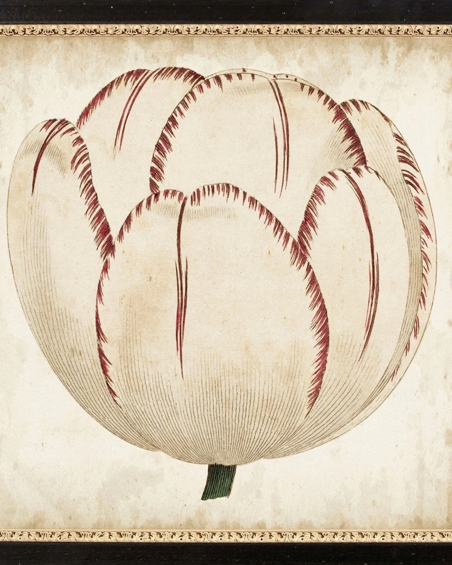 POP FLORALПостер 58х58