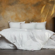 Одеяло PRINCESS CASHMERE GRASS всесезонное 200x220