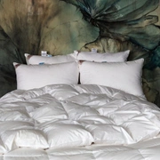 Одеяло ROYAL DOWN GRASS всесезонное 240x220