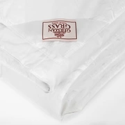 Одеяло SILVER DOWN GRASS всесезонное 200x200