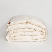 Одеяло SILK DOWN GRASS всесезонное 200x200