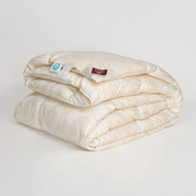 Одеяло SILK DOWN GRASS всесезонное 200x200