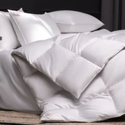 Одеяло из пуха гаги EXCLUSIVE COTTON EIDER DOWN всесезонное 150x200