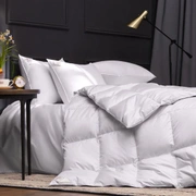 Одеяло из пуха гаги EXCLUSIVE COTTON EIDER DOWN всесезонное Light 260х240
