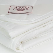 Одеяло BAMBOO FAMILIE BIO легкое 160x220