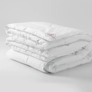 Одеяло NON-ALLERGENIC LUX GRASS 240x220 всесезонное