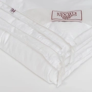 Одеяло ALLIANCE SILK GRASS всесезонное Light 200x220