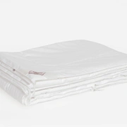 Одеяло ALLIANCE SILK GRASS всесезонное Light 200x220
