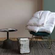 Одеяло NON-ALLERGENIC PREMIUM GRASS легкое 240x220