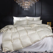 Одеяло из пуха гаги EXCLUSIVE SILK EIDER DOWN всесезонное 240x220