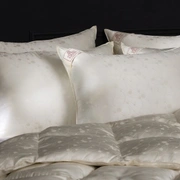 Одеяло из пуха гаги EXCLUSIVE SILK EIDER DOWN всесезонное 240x220