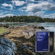 BLUE TAIGA Ароматическая капсула
