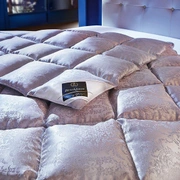 ОДЕЯЛО "ГАГА", (EIDERDOWN), 100% гагачий пух, легкое, Brinkhaus, Германия