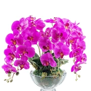 CENTERPIECE TALL PURPLE ORCHIDSБукет розовые орхидеи, 2 спрея по 10 мл