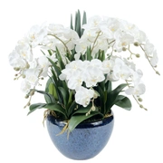 LUXURY GIANT ORCHID WHITEБольшой букет орхидей, белый