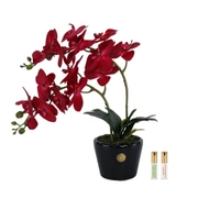 Букет Orchid red красные орхидеи, 2 спрея по 5 мл