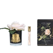 Роза-диффузор FRENCH ROSE champagne pink черная ваза, 1 спрей 10 мл