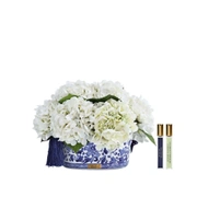 Букет гортензий Cote Noire Oriental hydrangeas ivory, 2 спрея по 10 мл