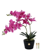 Букет Orchid розовые орхидеи, 2 спрея по 5 мл