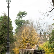 Плед Frati BOSCO VERDE, бежево-зеленый, 150x190 шерсть 55% полиэстер 45%, 1070г