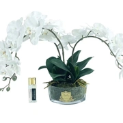 OVAL Orchid - whiteБукет белые орхидеи, 2 спрея по 10 мл