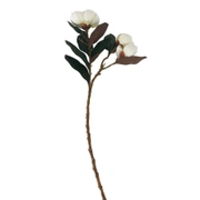 Loose Magnolias whiteВетка с цветами магнолии, белый