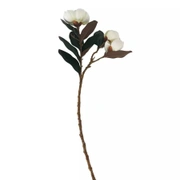 Loose Magnolias whiteВетка с цветами магнолии, белый