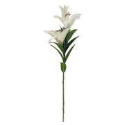 Loose Magnolias whiteВетка с цветами магнолии, белый