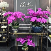 OVAL Orchid purpleБукет розовые орхидеи, 2 спрея по 10 мл