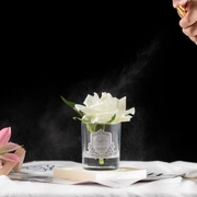 Роза-диффузор FRENCH ROSE ivory, слоновая кость, прозрачная ваза, 1 спрей 10мл