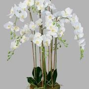 ORCHID 9 Орхидея 9 веток выс 150 см