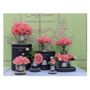 FIVE ROSE white peach Букет из 5 роз ароматизированный, цвет коралловый, прозрачный, 2 спрея по 5 мл