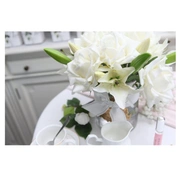 ROSES&LILIES champagne Розы и лилии, цвет шампань, 2 спрея по 10 мл, ВхШхД 32х26х26 см
