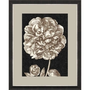 DRAMATIC PEONYПостер 65х85