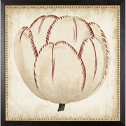 POP FLORALПостер 58х58