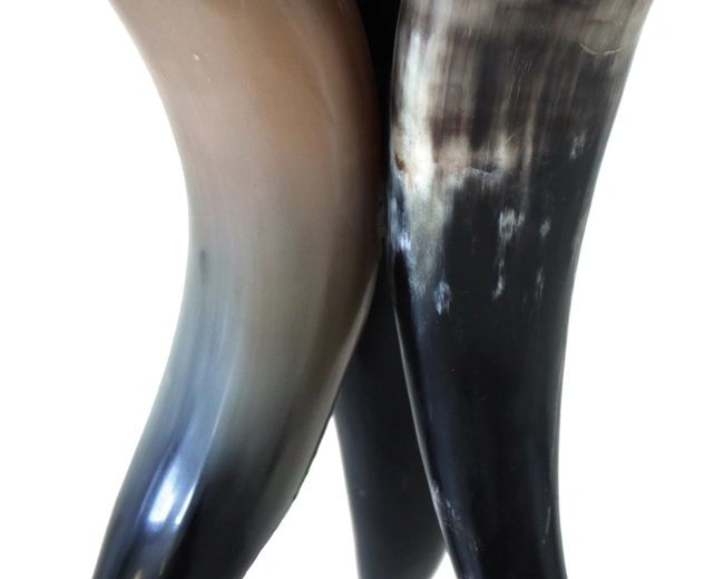 TRIPOD HORN Подсвечник H: 18 cm | W: 18 cm | D: 18 cm, рог TRIPOD HORN Подсвечник H: 18 cm | W: 18 cm | D: 18 cm, рог