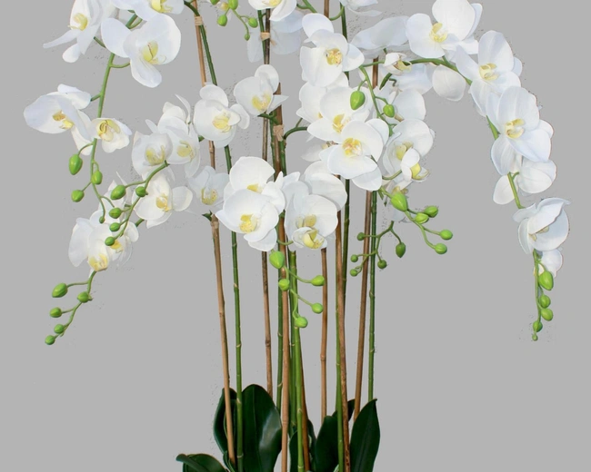 ORCHID 9 Орхидея 9 веток выс 150 см ORCHID 9 Орхидея 9 веток выс 150 см