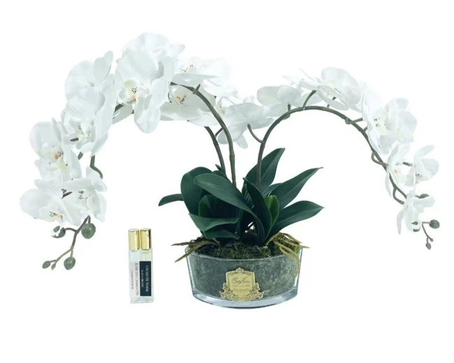 OVAL Orchid - whiteБукет белые орхидеи, 2 спрея по 10 мл